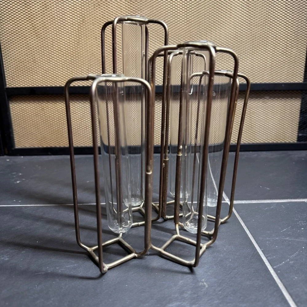 Hinged Test Tube Vase Set 5 Glass Tubes Brass Metal Frame Propagation Station